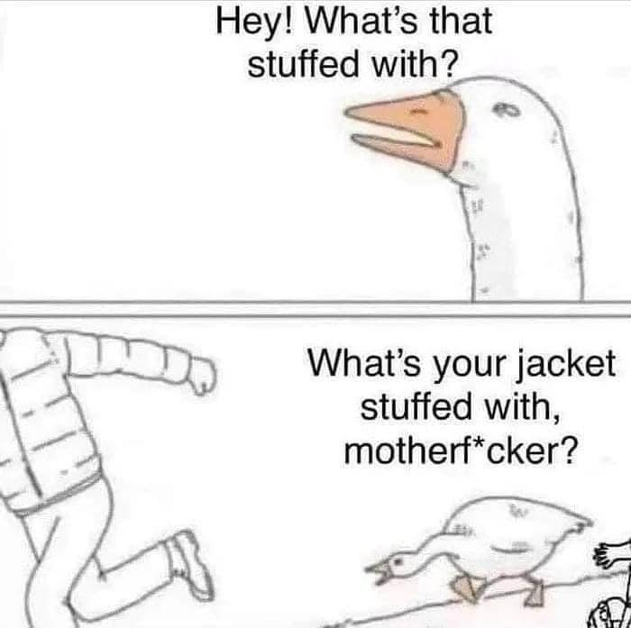 Meme of a goose yelling at a human with down-stuffed jacket.