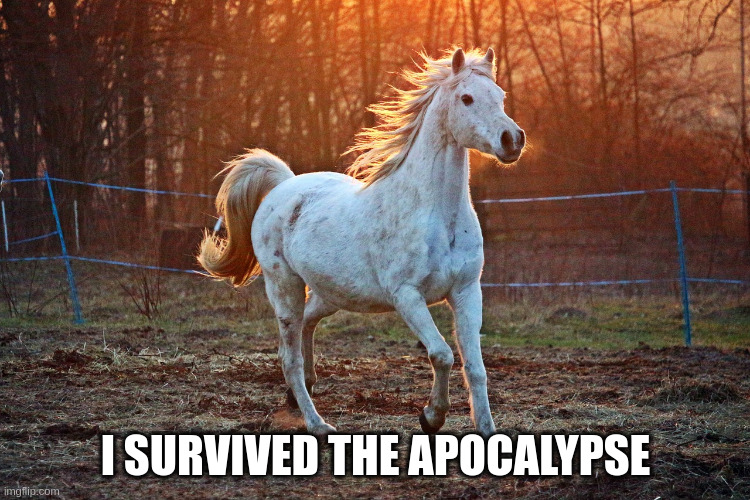 Image of a horse thinking: I survived the Apocalypse